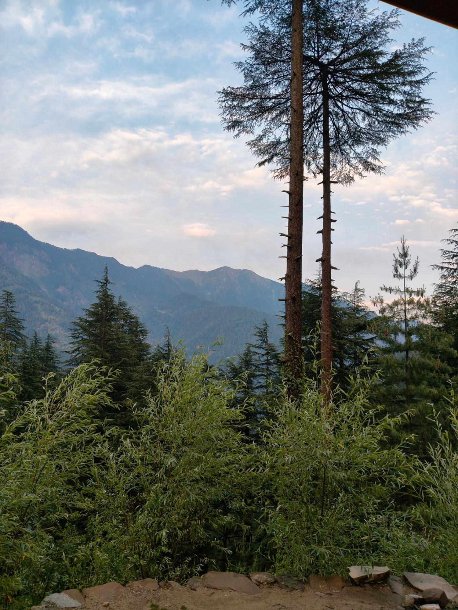 Forest View Cottage Jibhi Екстериор снимка
