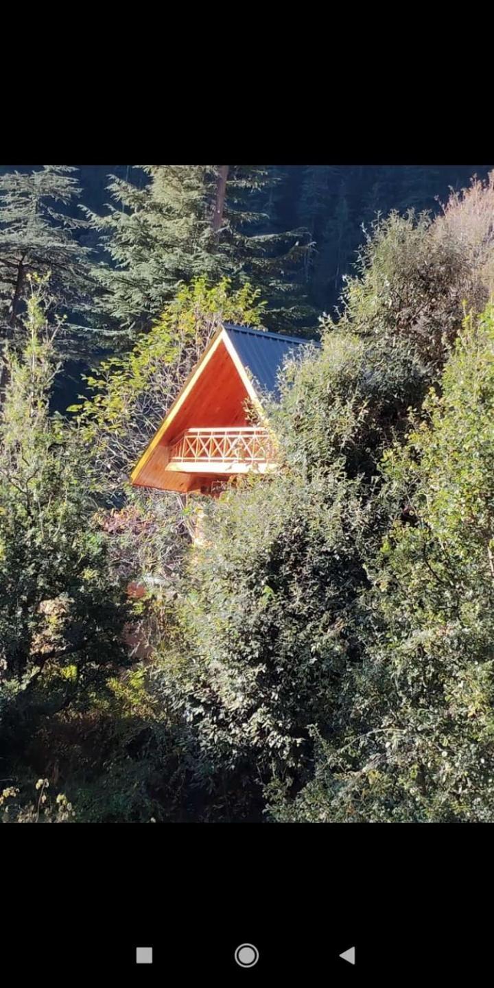 Forest View Cottage Jibhi Екстериор снимка